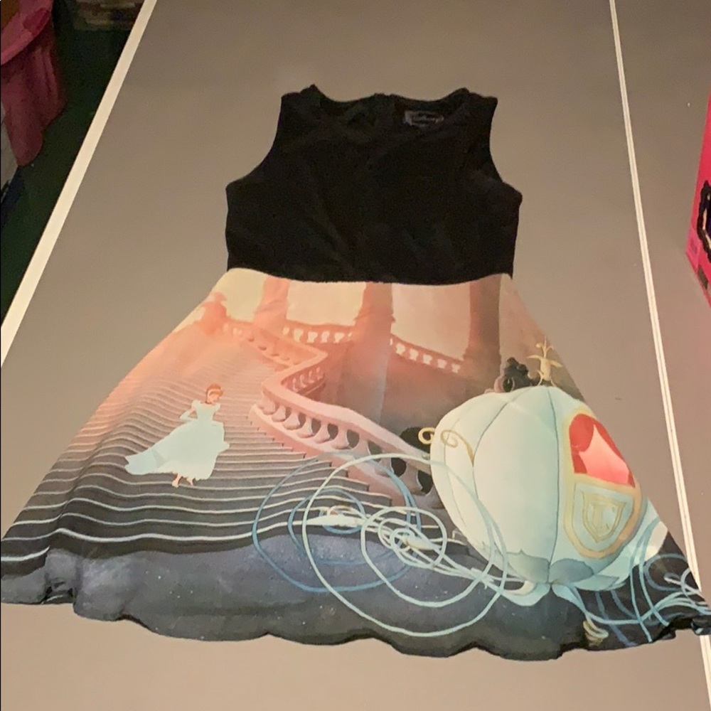 Cinderella skater dress